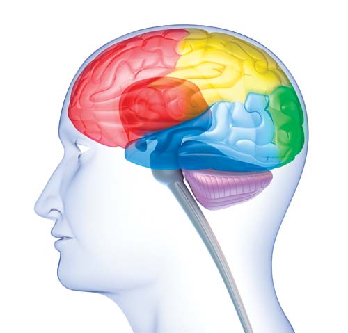 Who's Measuring America's "Brain Health Index" And Therefore, Why?