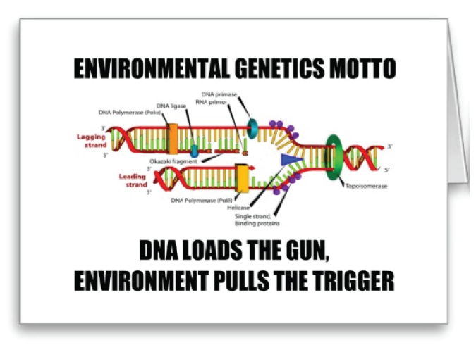 pullthetrigger