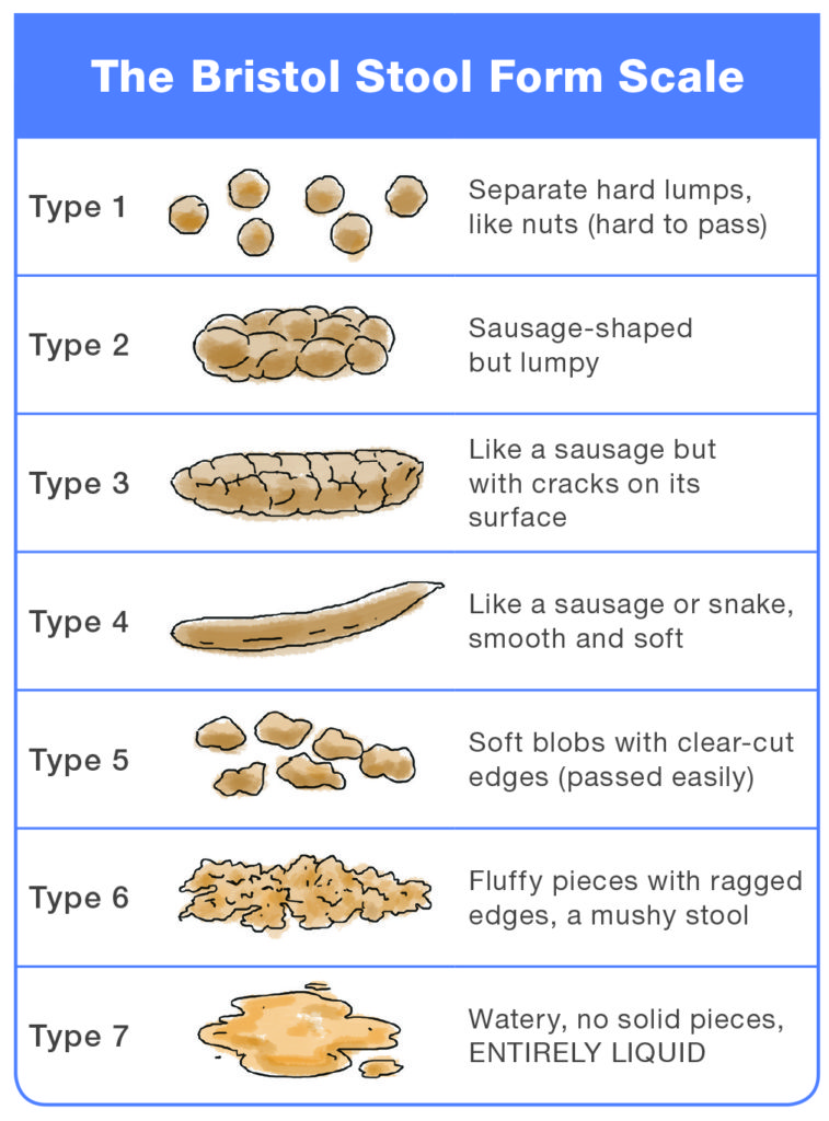 bristol poop chart