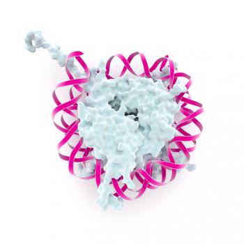 nucleosome-diagram-pink